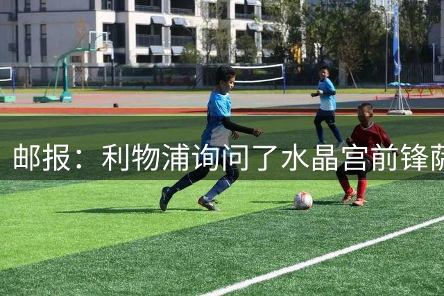 邮报：利物浦询问了水晶宫前锋萨尔的转会，但交易难成